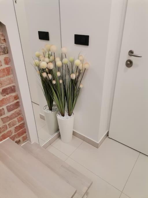 Studio Apartman Lenox Rijeka Dış mekan fotoğraf